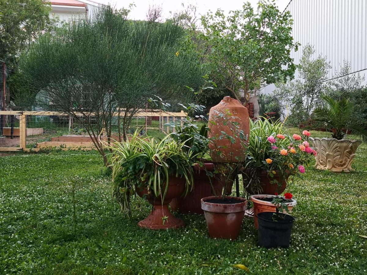 Zia Chiarina Bed & Breakfast San Nicolo Gerrei Exterior photo