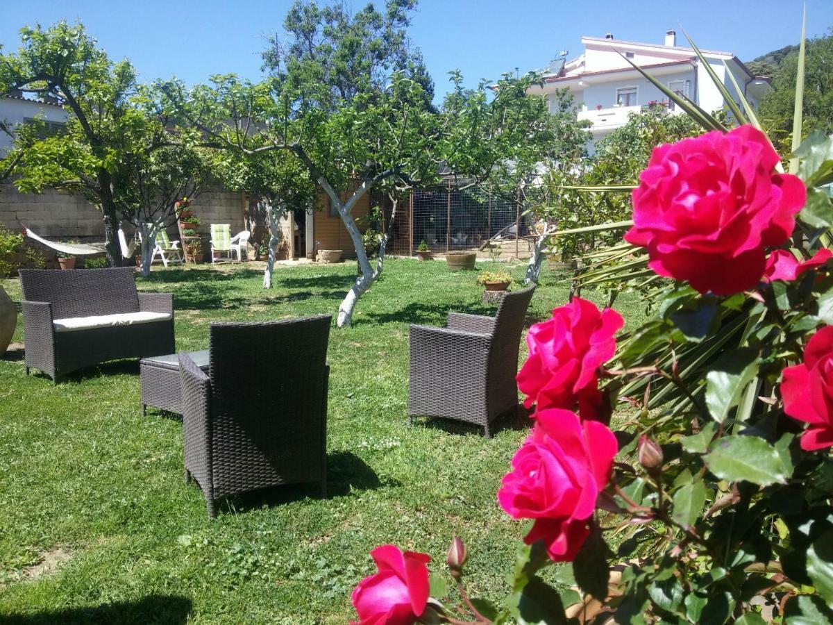 Zia Chiarina Bed & Breakfast San Nicolo Gerrei Exterior photo