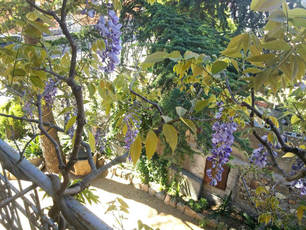 Zia Chiarina Bed & Breakfast San Nicolo Gerrei Exterior photo
