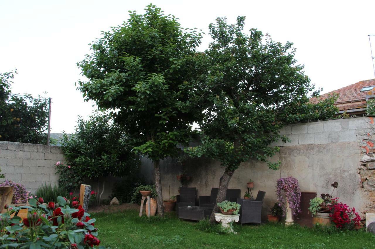 Zia Chiarina Bed & Breakfast San Nicolo Gerrei Exterior photo